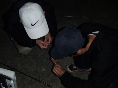 8zk9xdg3jvnwrmamd9ev_480_480-e7b0c728.jpg