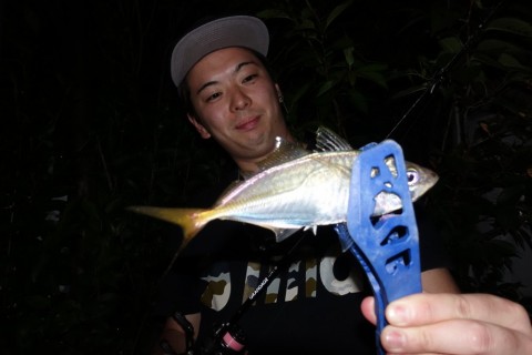 8zz9b8962gchoi7im4hx_480_480-08613bb8.jpg