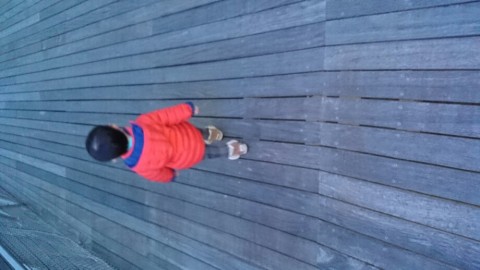 92b2ikewtdwxst7ypeu6_920_518-810b81ac.jpg