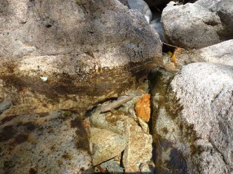 92bbvftagnhahegvcu85_480_480-601009a4.jpg