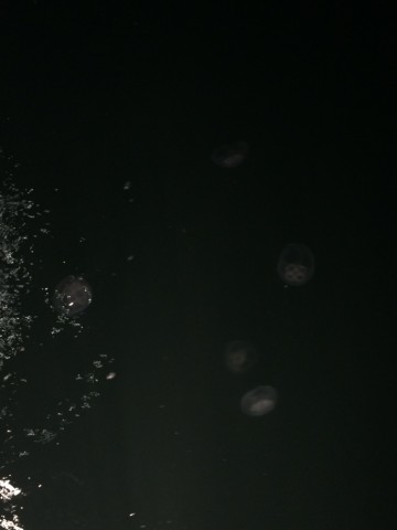 92bddyn4yu53t73nxez2_690_920-47f567b5.jpg