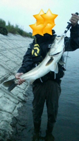 92j3h63pa8ruonnuegaa_521_920-00576326.jpg