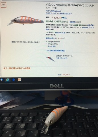92nw4nob7jszyvzxanve_480_480-fe223256.jpg