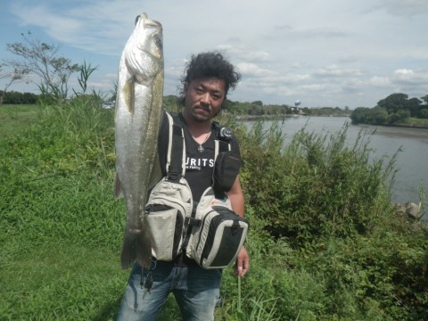 92xi333evuf7t5i3kes7_480_480-5c766300.jpg