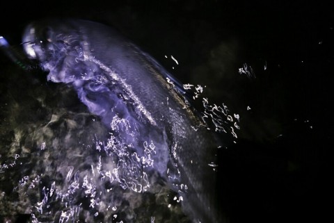 92znpiernyjk6ep9awjp_920_615-c78de5fc.jpg
