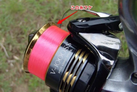934gvdsvxt5oocfiiyon_480_480-116145c0.jpg