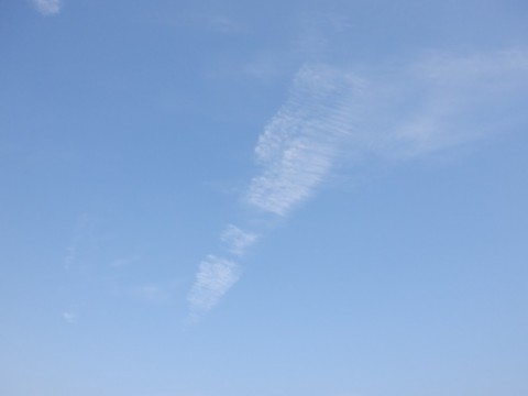 93ddjpvodvm5iunzs4rh_480_480-83094ecb.jpg