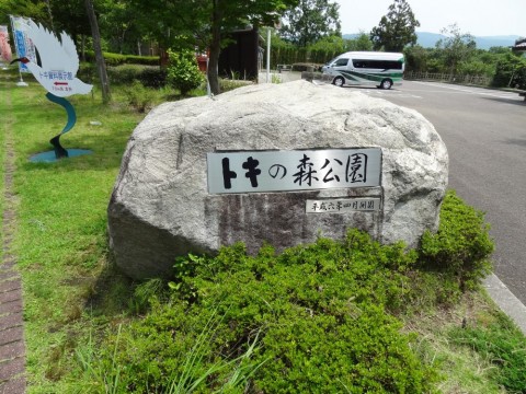 93gvacwz95bjavn8u6wu_480_480-0db23e50.jpg