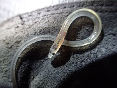 93t979mjgmgfr3iaihc8_920_690-49c88aee.jpg