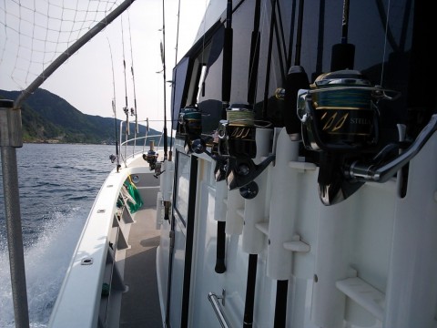 93xoasfku9b9jutvrp4v_480_480-fe7da915.jpg
