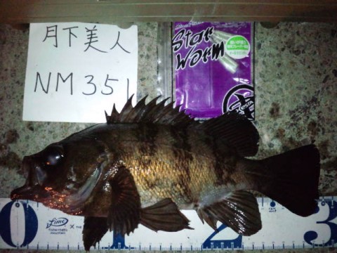 9465acxbbe3xr72u9yjo_480_480-a4be36fa.jpg