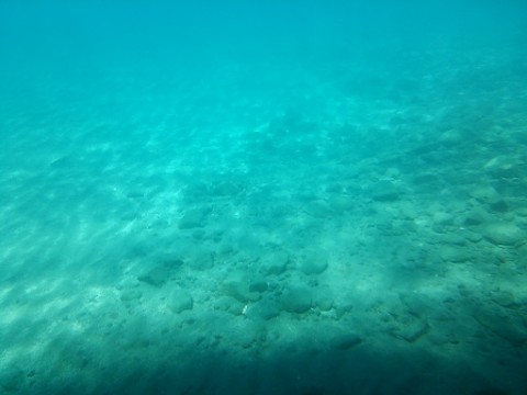949hcg2ufjzbue84gzku_480_480-4e748f7d.jpg