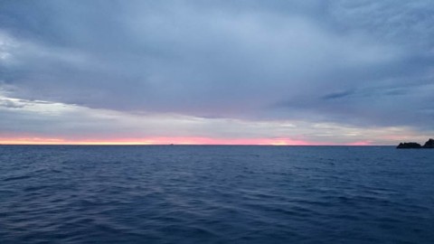 94b346rzrxz7fui2nwdr_480_480-0fec127a.jpg