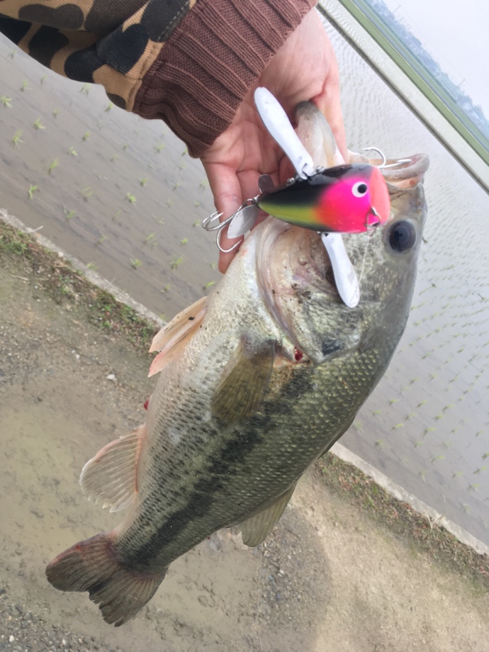 FishingWars fimo】 ヤマトクローラー