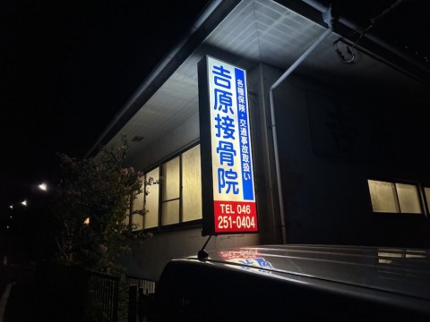 94d5enjxun4jg7a67ugv_480_480-59a0f765.jpg