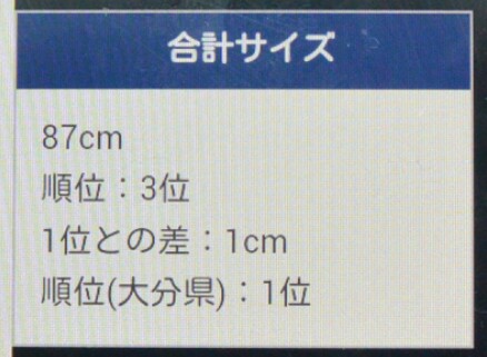 94k74ff4wp7hjad5mb92-2e8f93d8.jpg