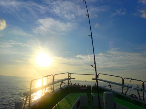 94vnors9fa6p7i6fkkcv_480_480-69e17f20.jpg