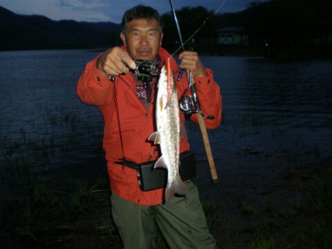9542wmo26nhe3td2x6d4_480_360-34fa77ec.jpg