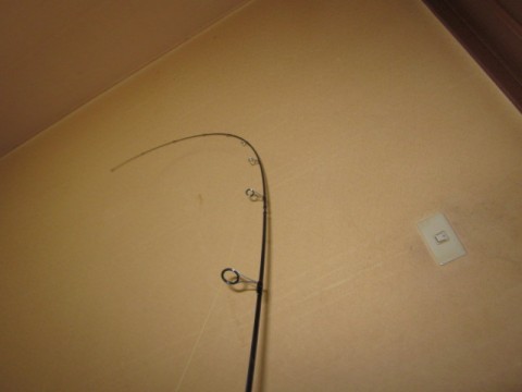 95actrut65aji54y4cmv_480_480-57b8d52c.jpg