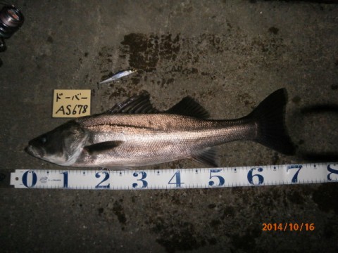95cohb47spwyhswybxkr_480_480-3773ec21.jpg