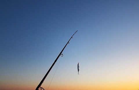 95nrmzz55m9yxeokpw9y_480_480-15f5bde6.jpg