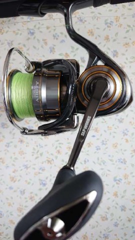 95rhm3n5jcgetpntnek8_480_480-32012d7d.jpg