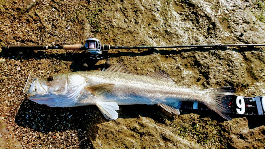 数量限定価格!! アブガルシア Abu Garcia ソルトウォーターベイトフィネス ロッド ベイト ソルティースタイル ベイトフィネス STBC 