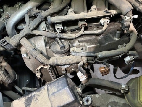 964wr33szbrm5bs45y74_480_480-90cc6d29.jpg