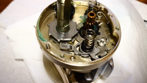 966rvdcfgj2wf63bh2pw_480_480-754de0b2.jpg