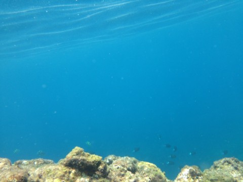 96aj7n9rtb2ugcgoutam_920_690-c5324772.jpg