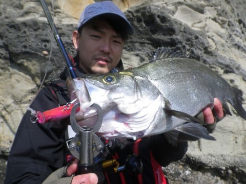 96p822ghk4xv3zvfr526_480_480-7a9bb494.jpg