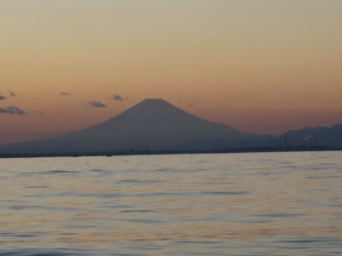 96y493jc33x7vi4i28yi_480_480-81f604ad.jpg