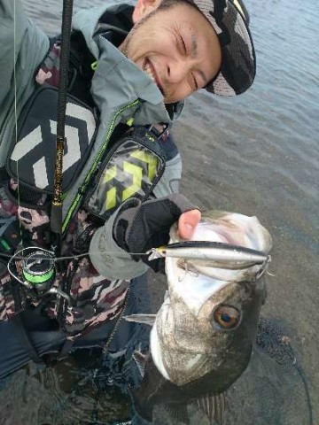 973aoz7warsghohdc8py_480_480-a3bb2528.jpg