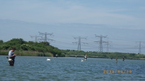 97diwv6xwye9553eyzwb_480_480-e70c46a7.jpg