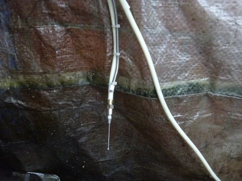 97dv58fxj8ukeiup4ubf_480_480-34f12f3c.jpg