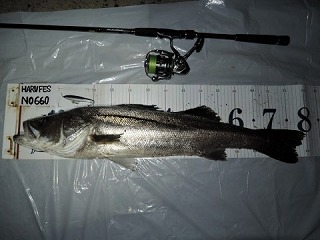 97jrgu67gda9hcokmmc4-5135bd19.jpg