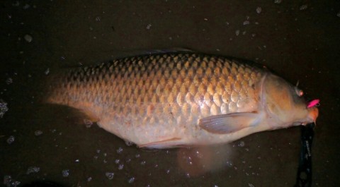97koi362v2w3rwne59xy_920_508-220d45e7.jpg