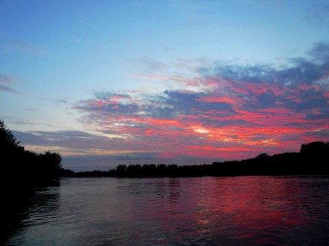 97otozsuwyphchriinea_480_480-6ddd0ca6.jpg