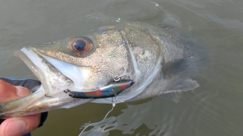 97u4x28sri9mvy9bow9a_920_518-144b3538.jpg
