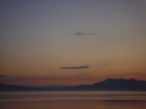 97visrxh9fmzozzuzd4e_480_480-6ad5db7a.jpg