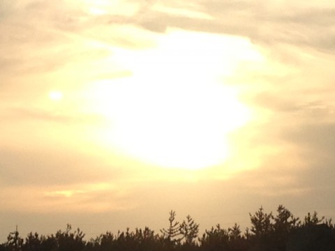 9827yuyrzx5ewrb7kt67_480_480-8b7bc98d.jpg