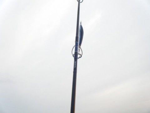 983sg6n42wkuuvzje6um_480_480-53dbb852.jpg
