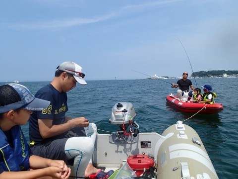 9852ycjnpe4kn5mgcsgb_480_480-2b3c1fac.jpg