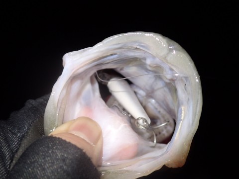 98534m96huinmuxg4ark_920_690-52d56819.jpg