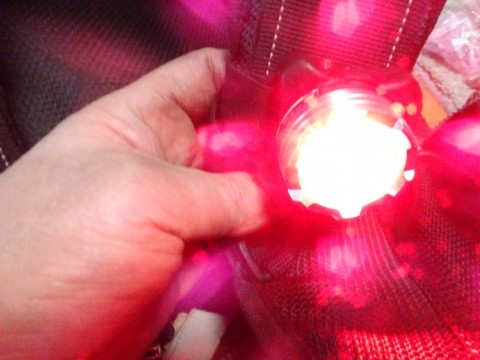 985cxygsiovxk92uie9t_480_480-1274911b.jpg