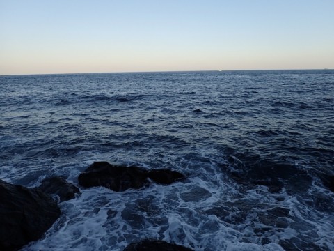 985ehjswr3ttnd3szdvd_480_480-037484cc.jpg