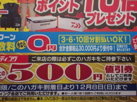 985ey8gigmgx464ezbxz_480_480-0d0c7636.jpg