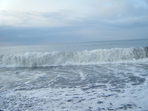 98bhsa92723husrssaxb_480_480-6d8828b4.jpg