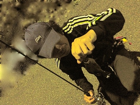 98ng9a6v7eettx2wbee8_480_480-d537af48.jpg