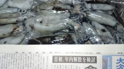 98pyykek3hg9dzjcpup6_480_480-d6e81719.jpg